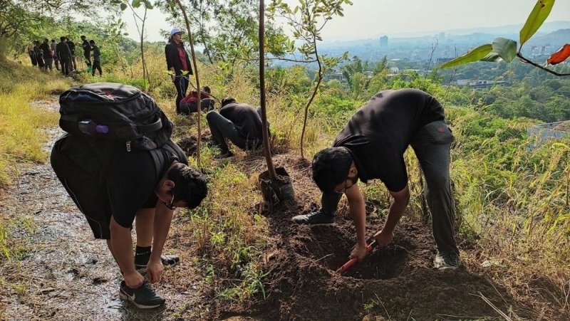 How to Plant a Tree - Step by Step Tree Plantation Guide