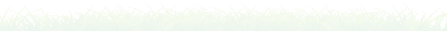 Footer Bg